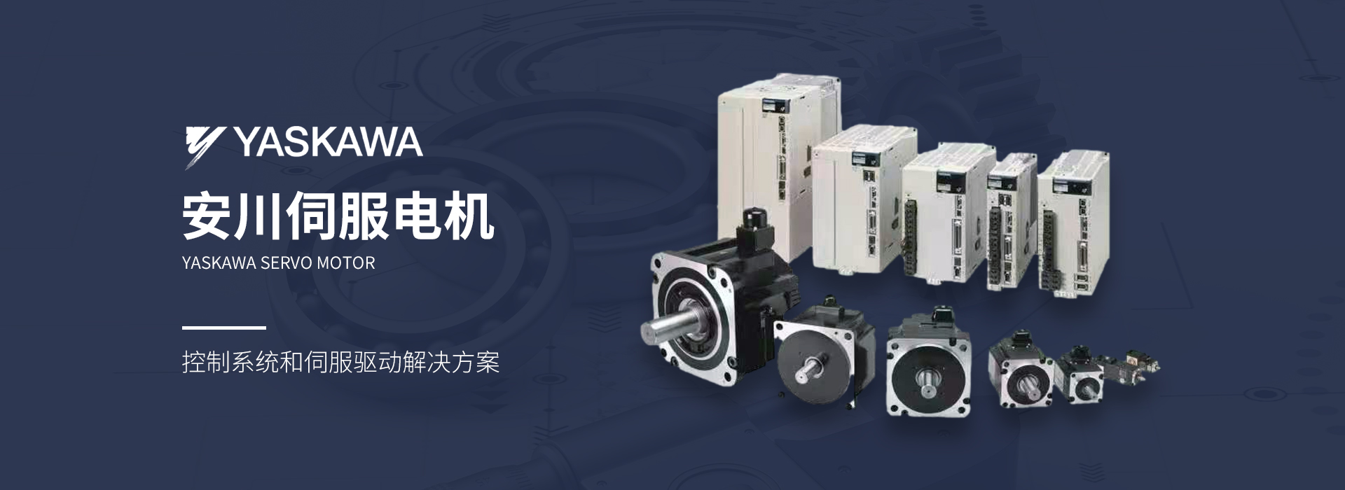 jinnian金年会